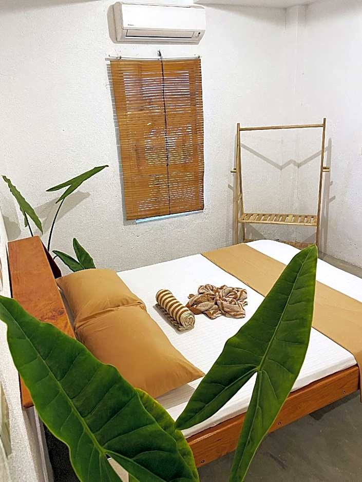 Sunlit Hostel