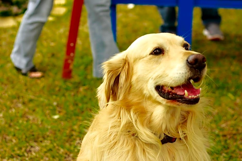 Giardino Dei Suoni B&B
