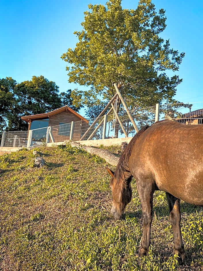 Vovô Emílio Chalés