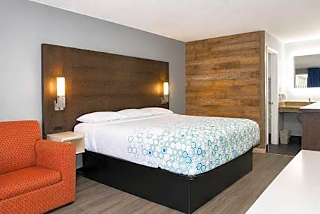 One Room Suite with Roll-In Shower - Disability Access/Non Smoking/Exterior Corridor
