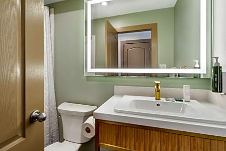 Superior Efficiency King Suite - Non-Smoking