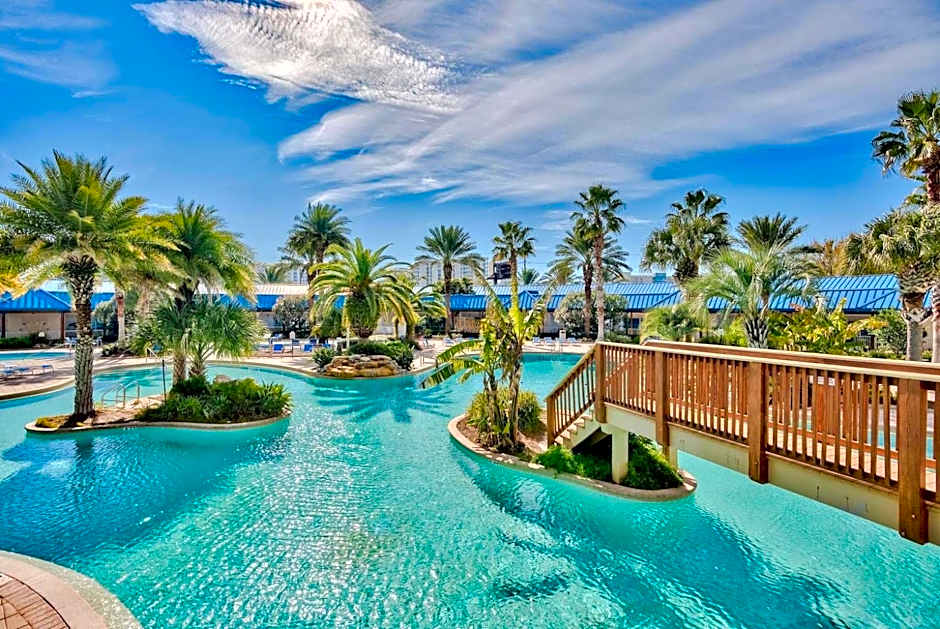 The Salty Palm
