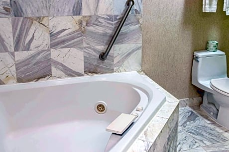 1 King Bed, 1 Room Suite, 2-Person Whirlpool, Nonsmoking