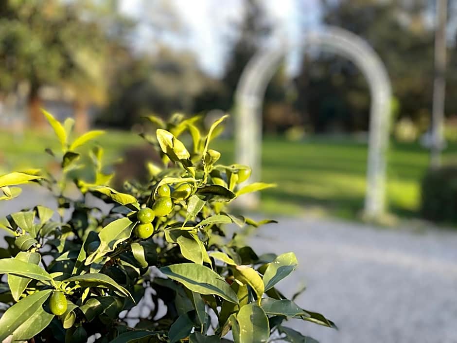 Fantastic Garden - Firenze Nord