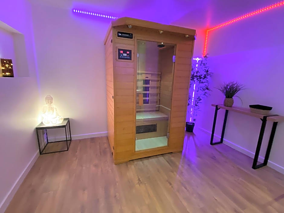 COSY & SPA Appartement Luxe JACUZZI SAUNA Suite Cristal