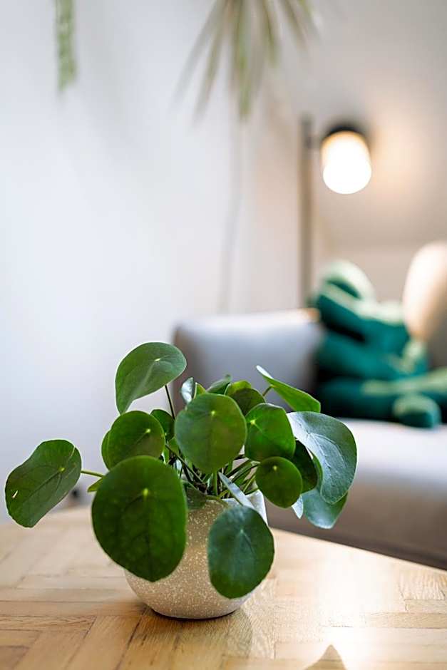 Urban Jungle Apartments
