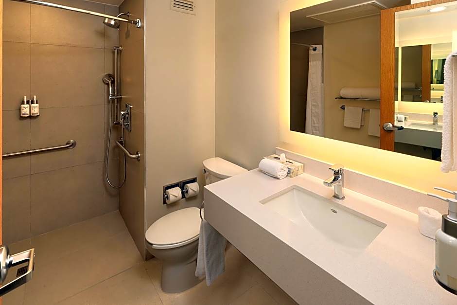 Holiday Inn Express Monterrey Galerias-San Jeronimo By IHG