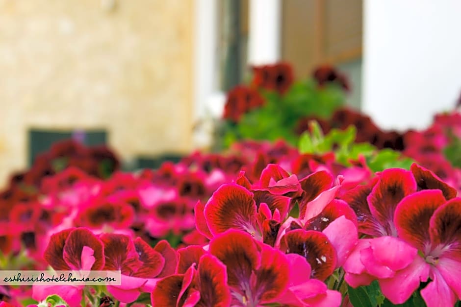 Esthisis suites & maisonettes