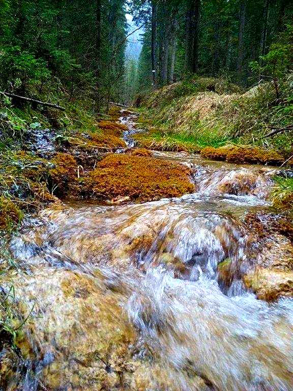 Wellness Hotel Bladen