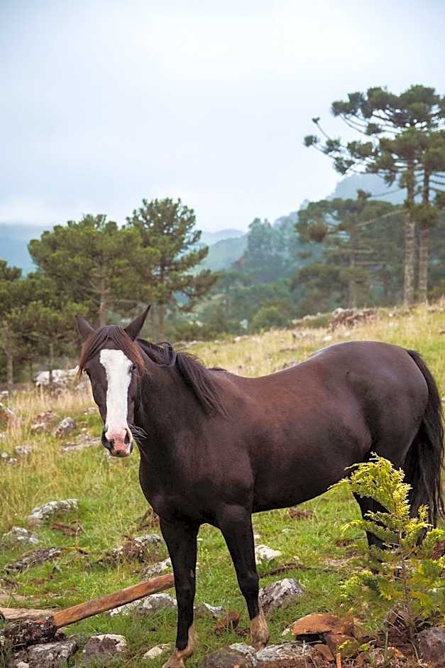Recanto das Águas - Urubici - SC