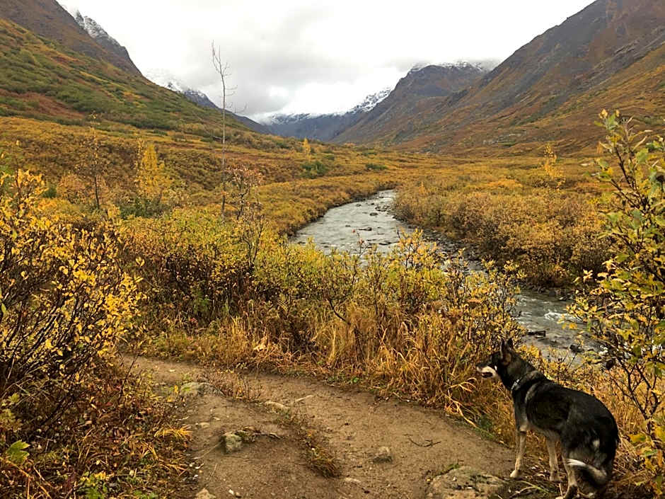 Hatcher Pass Cabins