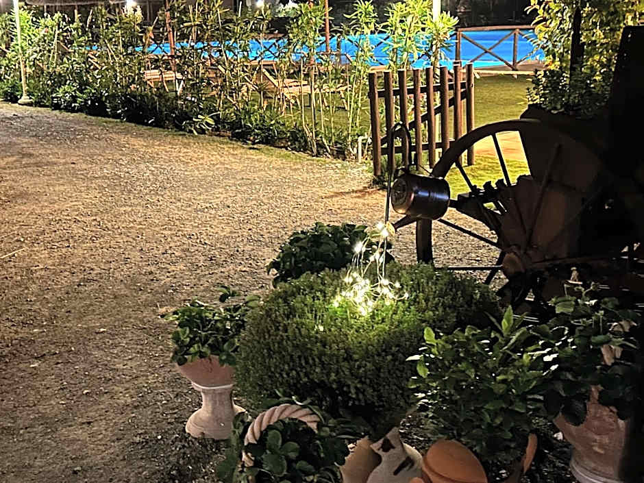 Fattoria Palazzeta - Pet & Family Friendly