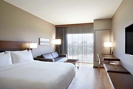 Room, 1 King Bed with Sofa bed (1 King Bed and 1 Double Sofa Bed)