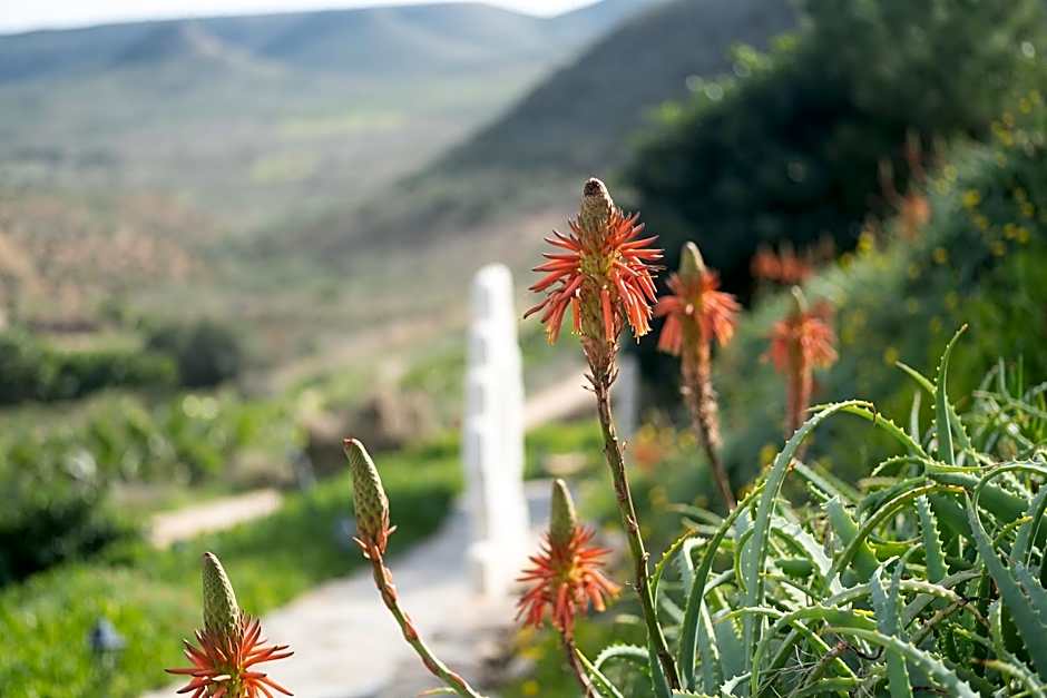 La Almendra y El Gitano