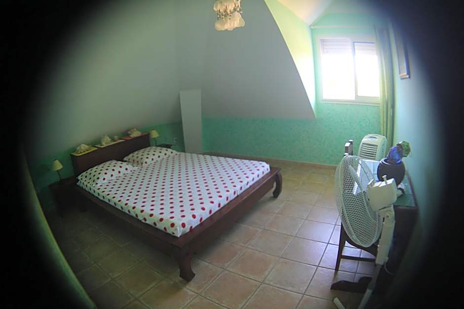 Domaine des Oiseaux Réunion