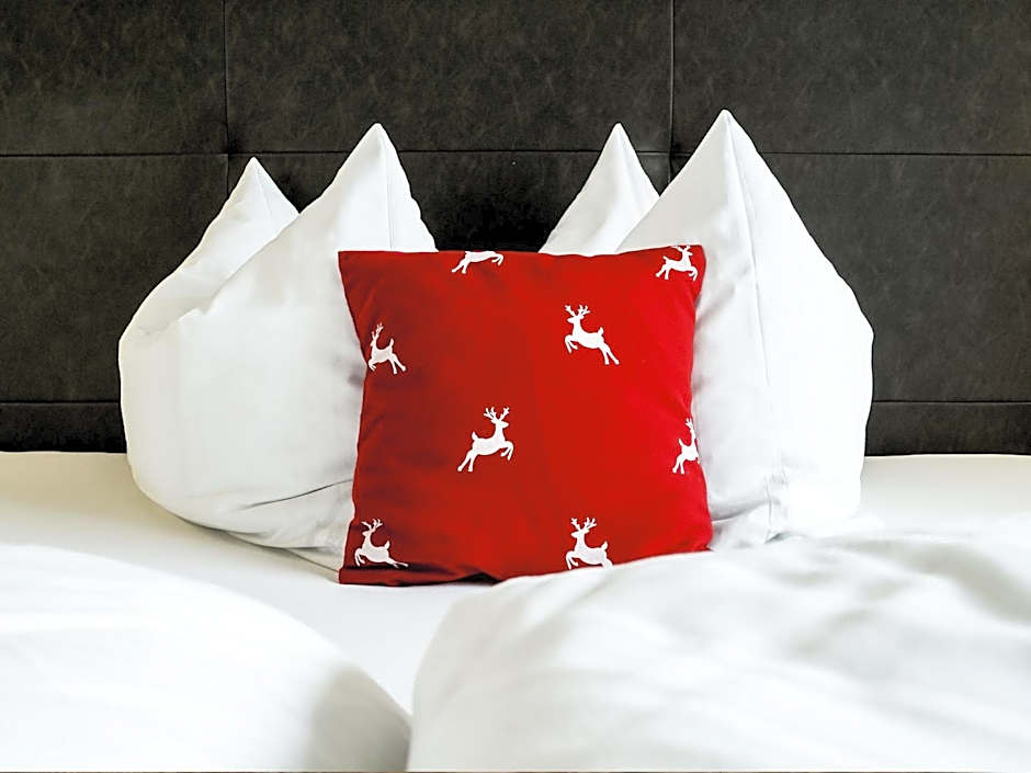 Pension Apartment Erna