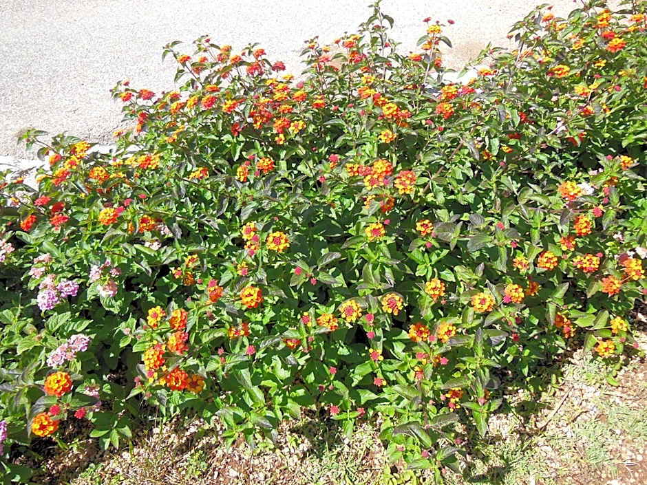 Residence Club Barbara