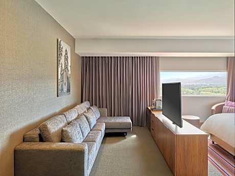 Junior Suite 1 King