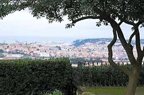 D'AGO48