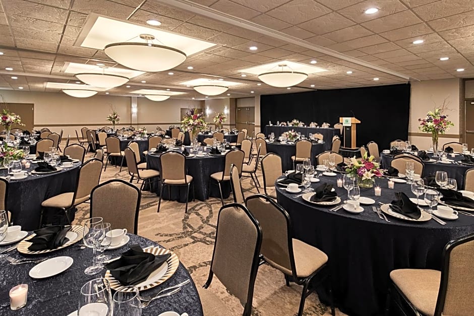 Holiday Inn Alexandria at Carlyle By IHG