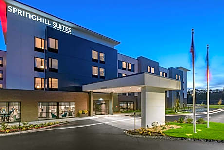 SpringHill Suites by Marriott Wrentham Plainville