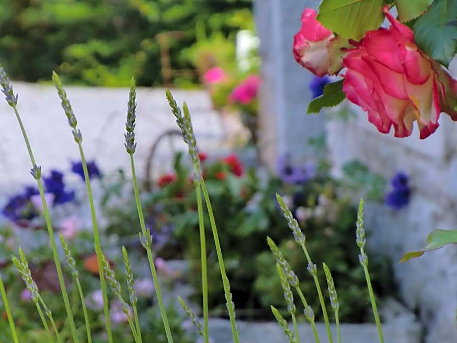 B&B Au Coeur de Villers