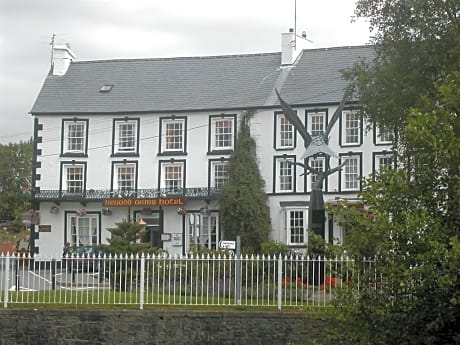 Neuadd Arms Hotel