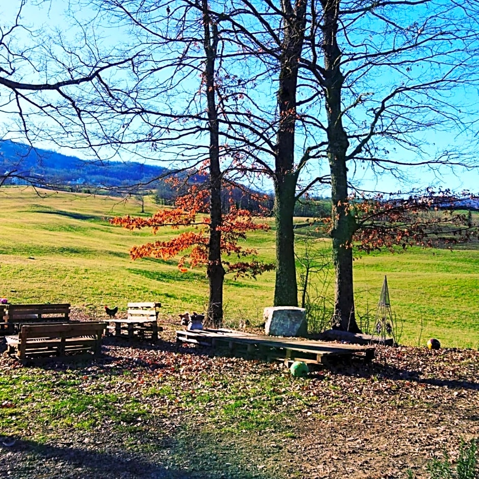 Due Principi e una Fata