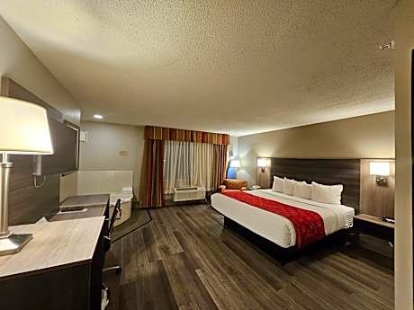 1 King Bed, Studio Suite, Non-Smoking