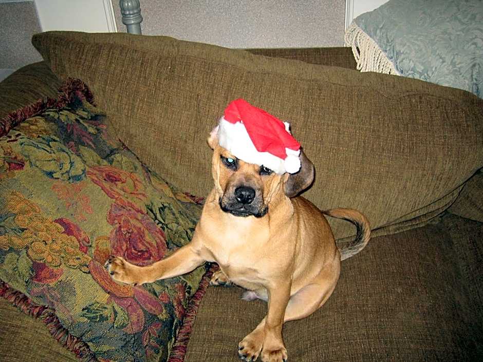 Ocean Breeze Executive Bed and Breakfast