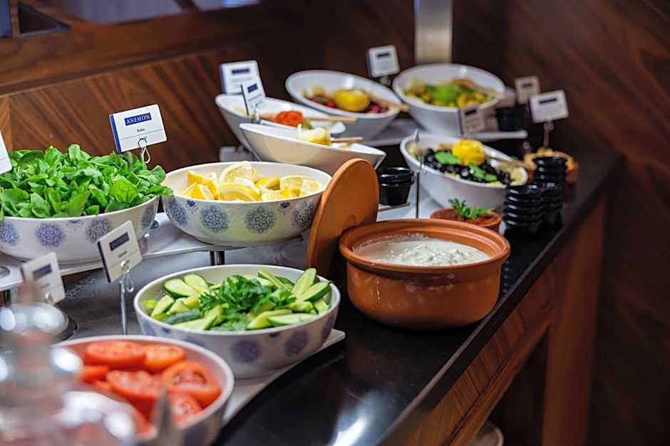 Anemon Bursa Otel