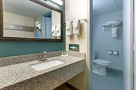 1 King Bed, Nonsmoking