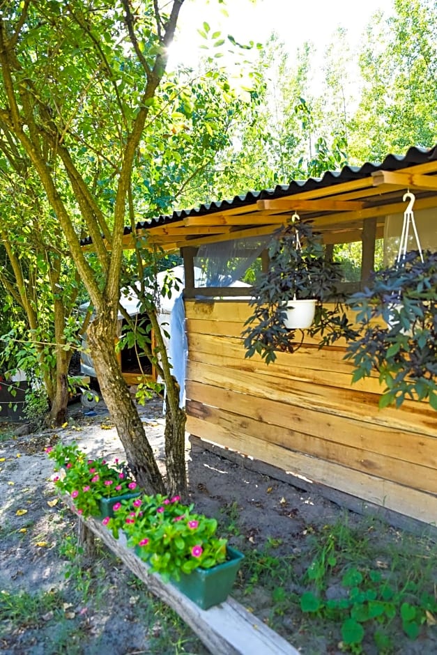 Alföldi Jurta Ruzsa