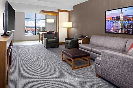 One-Bedroom King Suite with Accessible Shower - Disability Access
