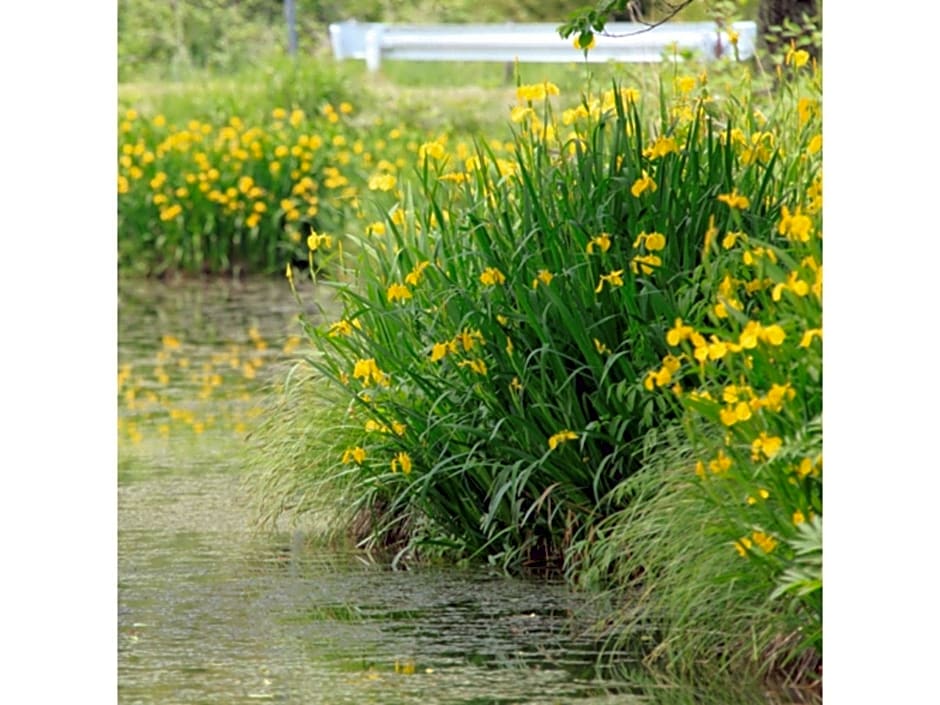 Kasuga no mori - Vacation STAY 80247v