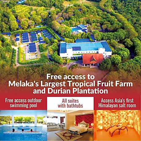 The Orchard Wellness & Health Resort