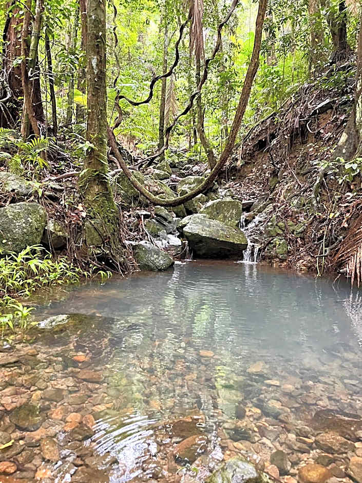 mist at Cape Tribulation
