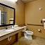 Holiday Inn Express Hotel and Suites Altus