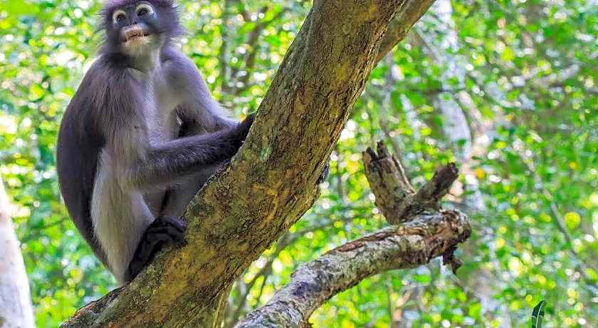 Anurak Community Lodge