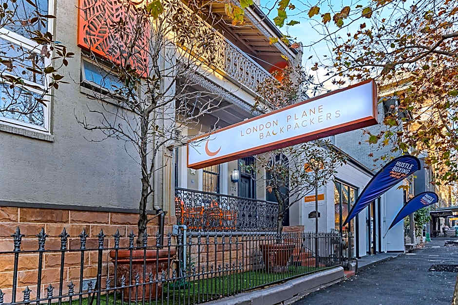 London Plane Backpackers