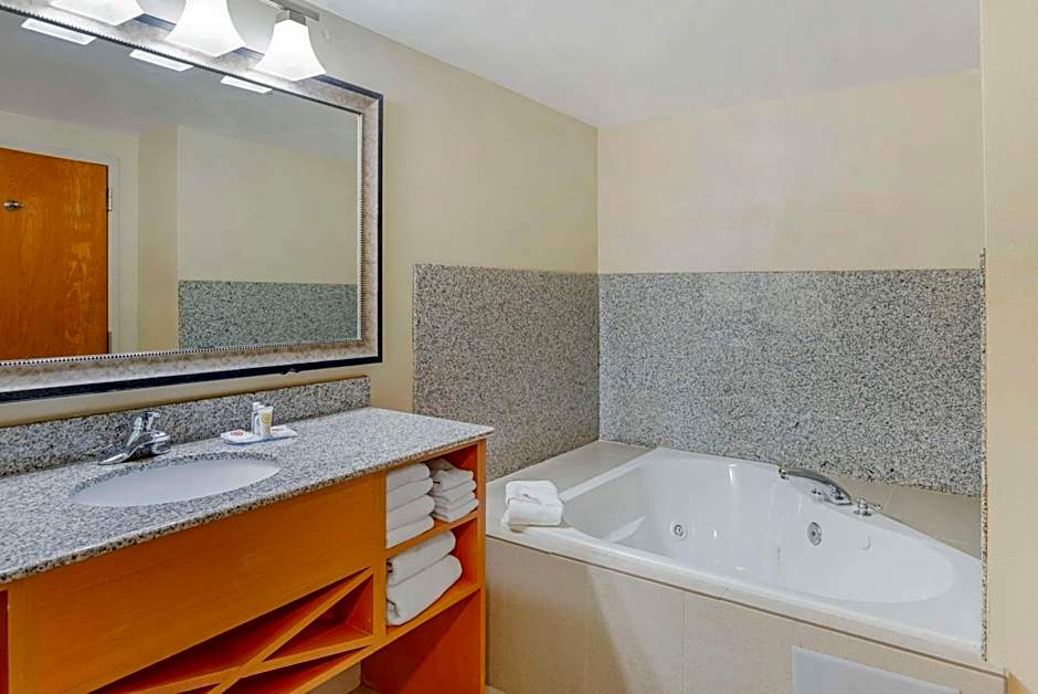 Comfort Suites At Virginia Center Commons