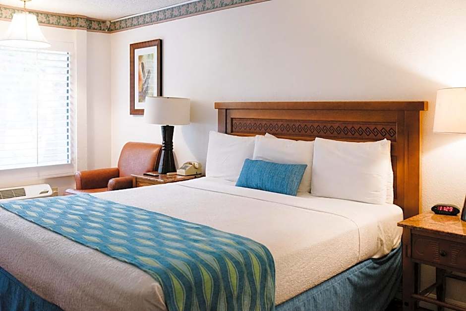 Alamo Inn and Suites - Convention Center