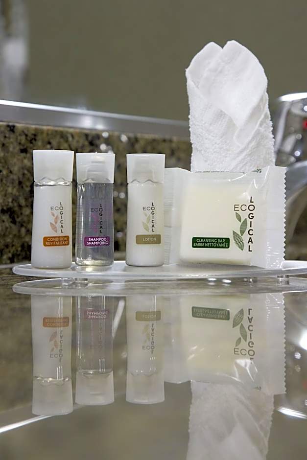 The Falls Hotel & Inn