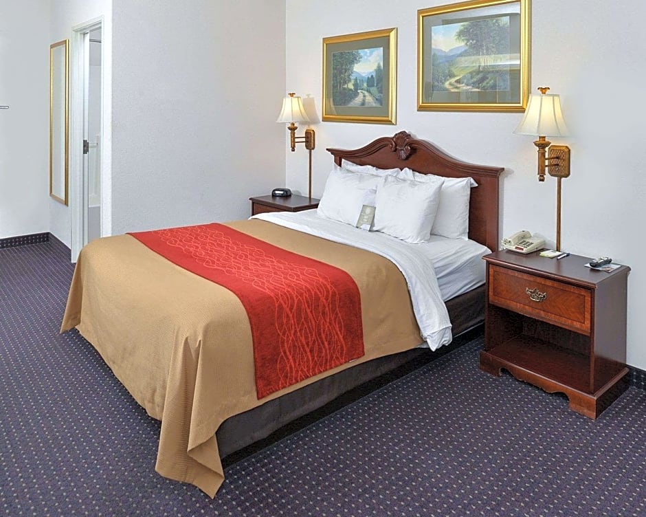 Photo 1 of 6 of 1 Queen Bed Suite