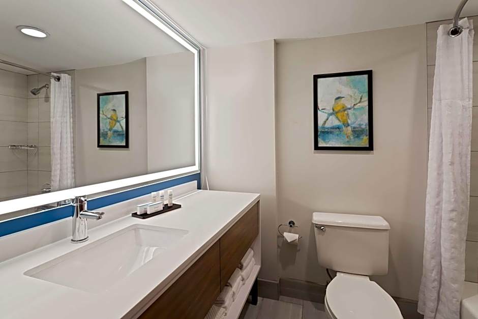 Embassy Suites By Hilton Hotel Tampa-USF/Near Busch Gardens