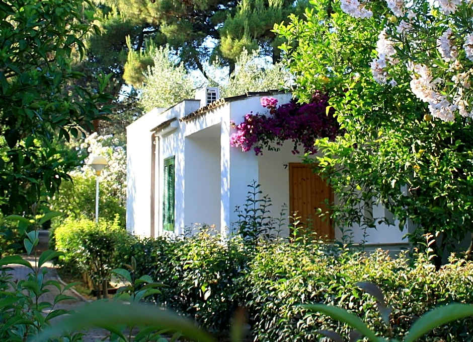 Villaggio Turistico Residence Delfino