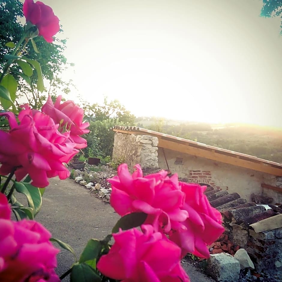 Le Mas Des Papillons chambre d'hôtes B&B