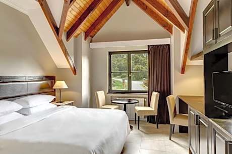 Room, 1 Queen Bed, Mountain View (1 Queen Bed)