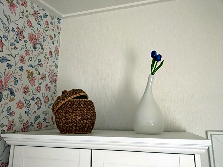 B&B De Blauwe Tulp