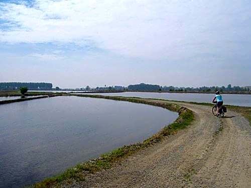 Hotel Ristorante Paladini